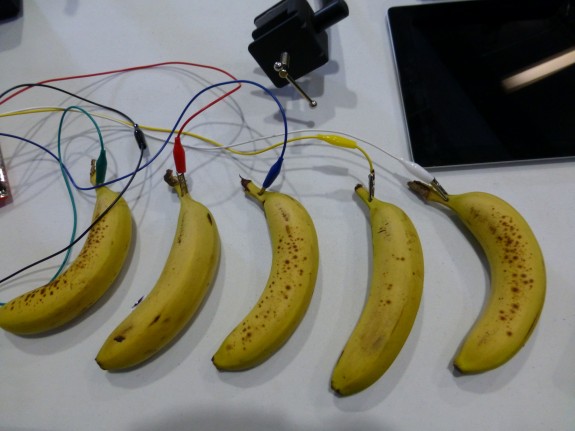 Bananas with electronic wires attached