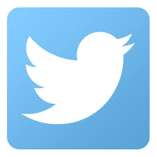Twitter logo - blue square with simple white bird in the centre