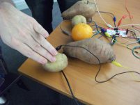 Vegetables turned into musical instruments using wiring and technology