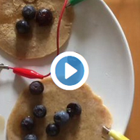 Pancakes with blueberries