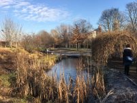 A garden view with a pond in the middle