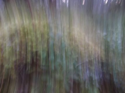 A blur of lights, softly coloured pastels, maybe the aurora borealis