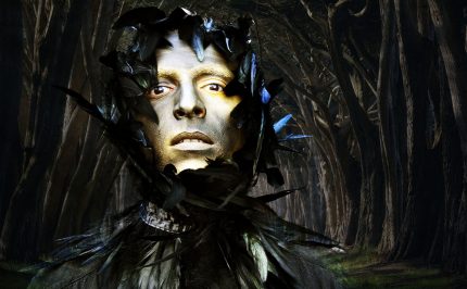 a man's face, in gold paint, he is in a fantastical sort of scene, with black feathers and darkness around him.