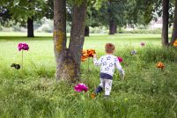 A child in the park runs through long grass, where silk flowers have been installed in bright colours